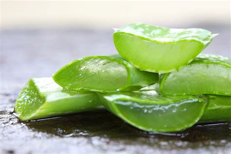 How To Make Your Own Aloe Vera Gel And 8 Ways To Use It Plus Facts About The Aloe Plant And