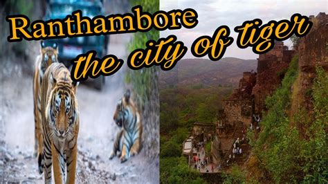 Ranthambore Wildlife Sanctuary Explore Ll Ranthambore Fort And Ganesh