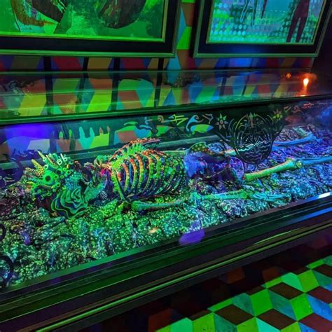 Meow wolf omega mart vegas what can you expect – Artofit