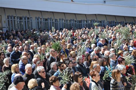 Domenica Delle Palme Una Celebrazione Millenaria Tra Fede E Tradizione