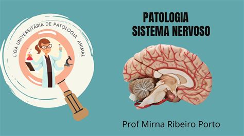 Patologia Do Sistema Nervoso Youtube