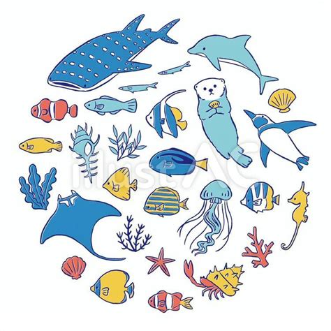 海の生き物イラスト No 22892369｜無料イラスト・フリー素材なら「イラストac」