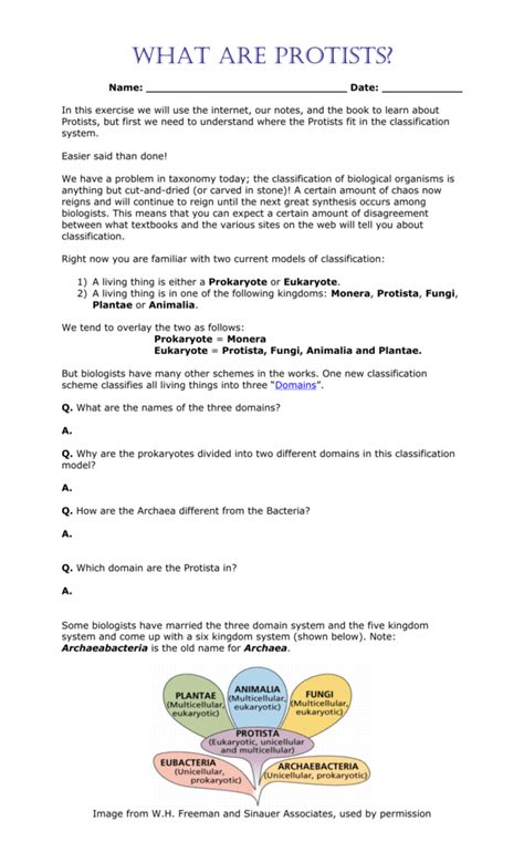 Kingdom Protista Worksheet