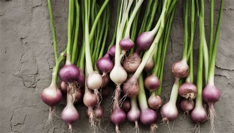 10 Inspiring And Delicious Tree Onion Recipes Your Gourmet Guru