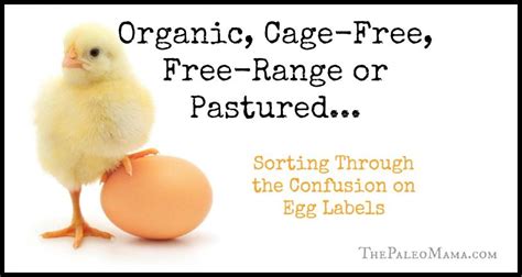 Organic, Cage-Free, Free-Range or Pastured... Sorting Through the ...