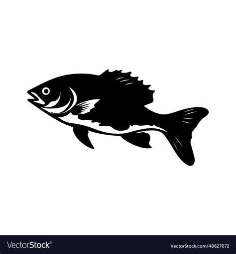 Bass fish silhouette Royalty Free Vector Image