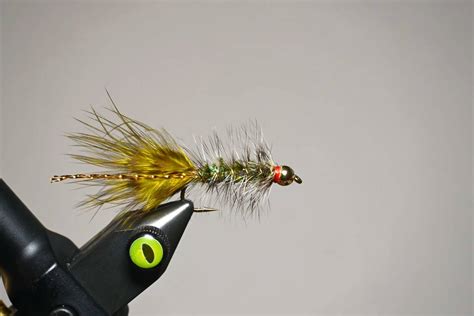 Best Winter Trout Flies Fly Selection Guide