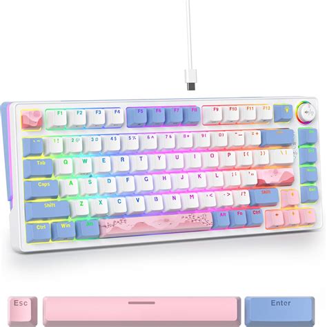 Solidee Wired Mechanical Gaming Keyboard Hot Swappable Pink Linear