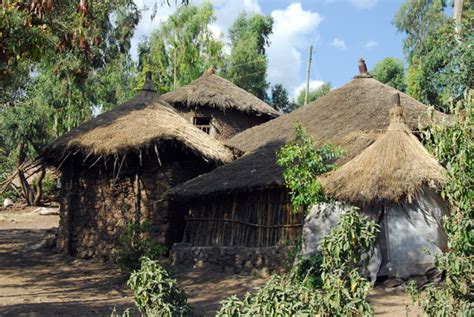 Thatched Huts Lalibela Photo Brian McMorrow Photos At Pbase