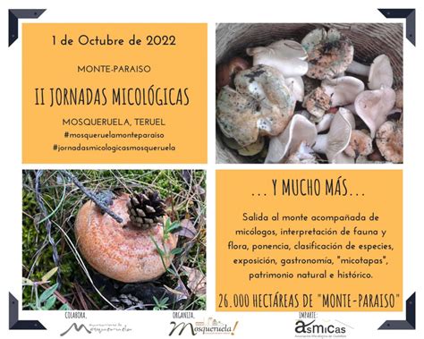 II Jornadas Micológicas 1 de Octubre 2022 Descubre Mosqueruela