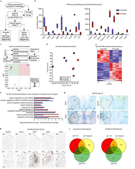 Rna Seq Pca