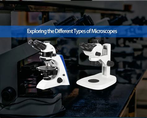 Microscope Types and Their Applications in Detailed Study - AELAB ...