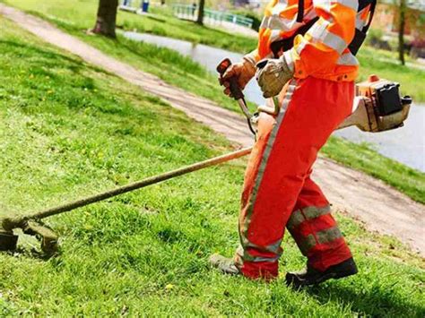 Manutenzione Del Verde Atteso Il Via Libera A Ricominciare Le Attivit