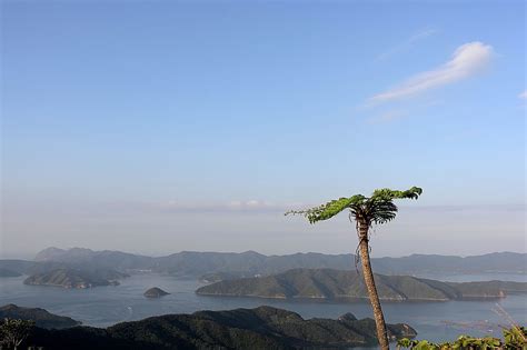 大島海峡の眺望 油井岳展望公園 2018年10月25日