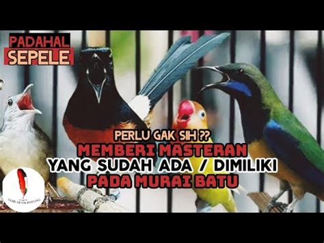 Sepele Sih Tapi Perlu Gak Ya Youtube