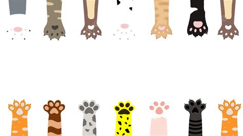 Cat Footprints Border Cartoon Cute Colorful Paw Pads Cat Clipart