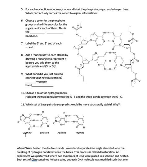 Solved 5 For Each Nucleotide Monomer Circle And Label The