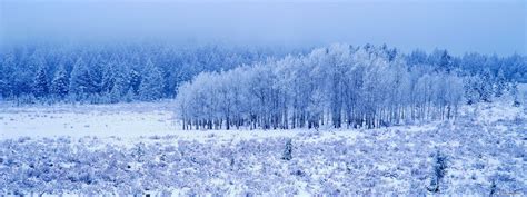 screen wallpapers wallpapersafari