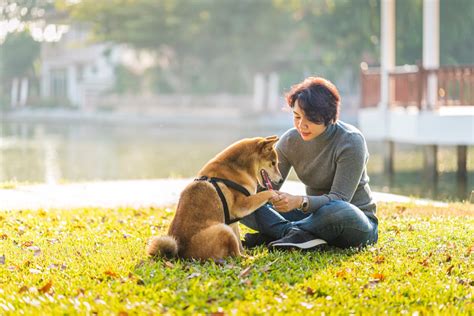 17 Things You Do That Your Dog Actually Hates Experts Say — Best Life