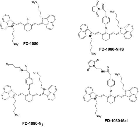 Cy花菁 BODIPY类 罗丹明 荧光素 香豆素 NIR系列荧光染料简介