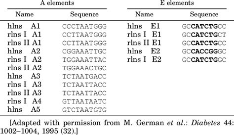 Sequence Elements Of A And E Boxes Of The Rat And Human Insulin Genes