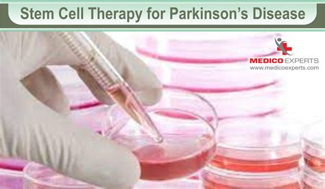 How Does Stem Cell Therapy Work Understand The Process