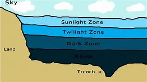 Habitats - Ocean Zones | Science Reception