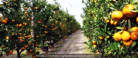 Sargodha City Famous Places Temp And Sun Rise In Sargodha