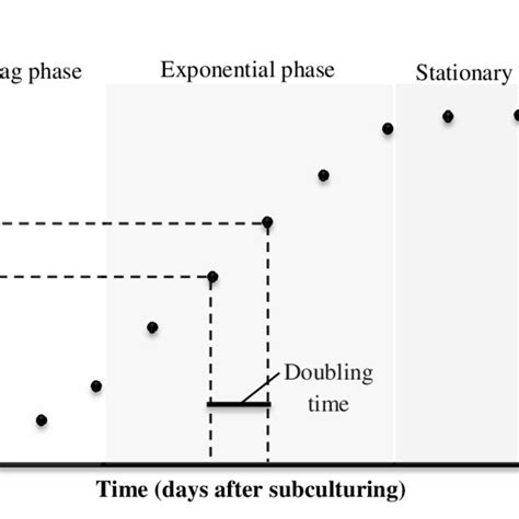 Growth curve for cell culture | Download Scientific Diagram