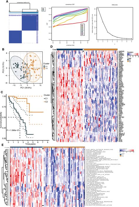 Frontiers The Construction Of A Hypoxia Based Signature Identified