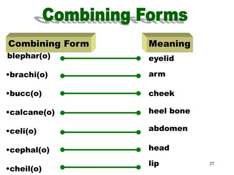 The Combining Form For Gland Is