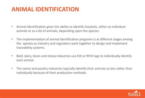 Livestock Identification And Traceability System Beef Sheep Goat