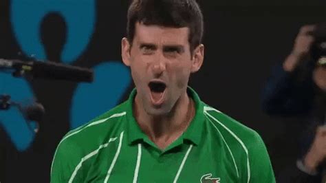 Novak Djokovic Sport By Australian Open Find Share On GIPHY