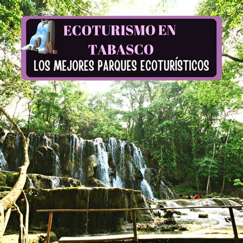 Ecoturismo En Tabasco 10 Parques Ecoturísticos Imperdibles