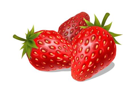 Erdbeeren Stock Illustrationen Vektoren Kliparts 65 588 Stock