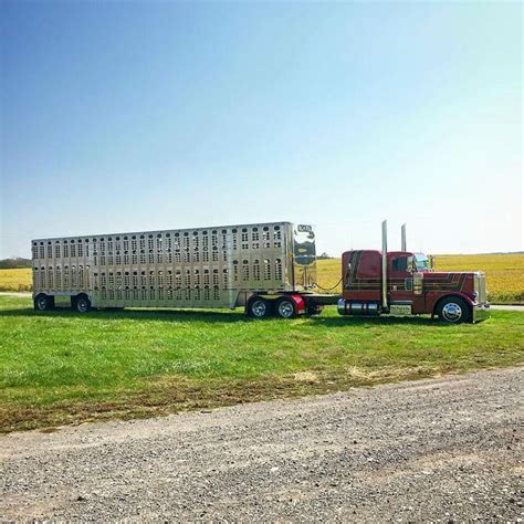 Bullboy Cattle Pots Show Trucks Big Rig Trucks Old Trucks