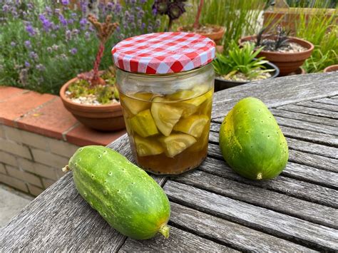 How To Pickle Gherkins The Quick And Easy Way