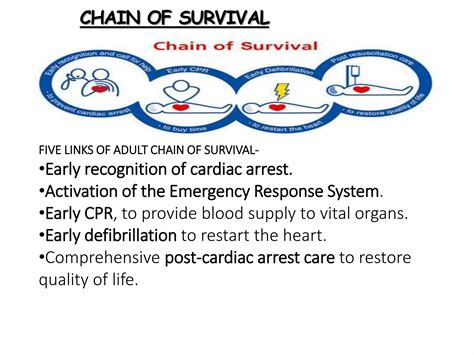 Basic Life Support Bls Cpr Ppt