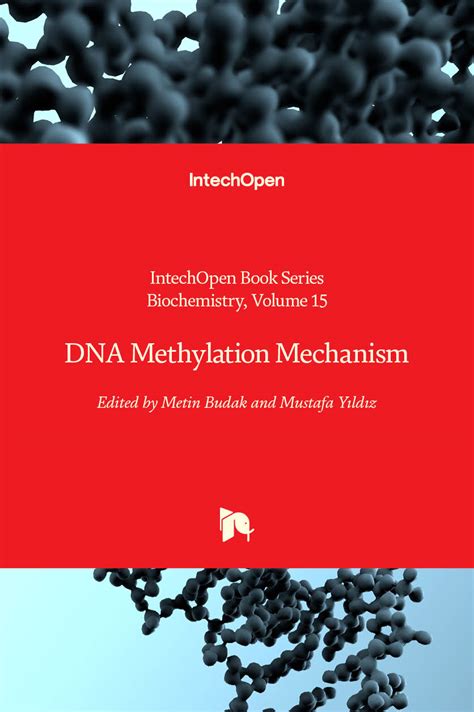 DNA Methylation Mechanism | IntechOpen