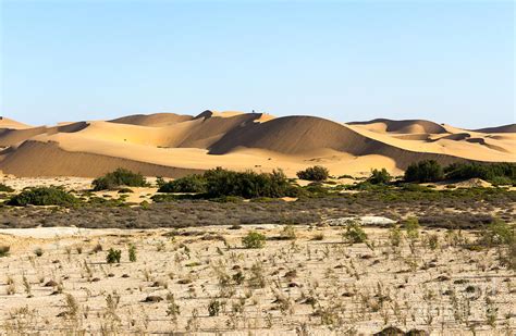 Sand dunes of the Namib Desert. Photograph by Rudi Venter | Pixels