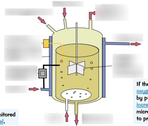 Industrial Fermenters Diagram Quizlet