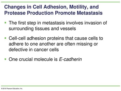 Chapter 26 Cancer Cells © 2016 Pearson Education Inc Ppt Download