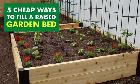 5 Cheap Ways To Fill A Raised Garden Bed