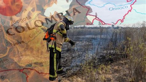 Incendios Forestales Cómo Prevenirlos Y Qué Medidas Tomar Cuando Se