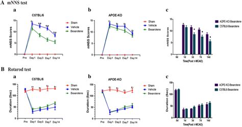 Bexarotene Improved Neurological Outcomes After T Mcao The Mnss Of