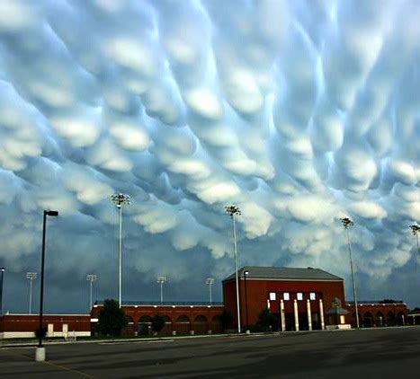 The Stylish Clouds Tits