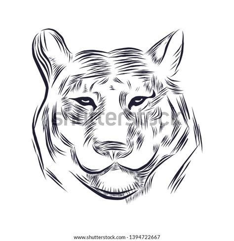 Vector Illustration Line Art Tiger Head Stock Vector Royalty Free 1394722667 Shutterstock