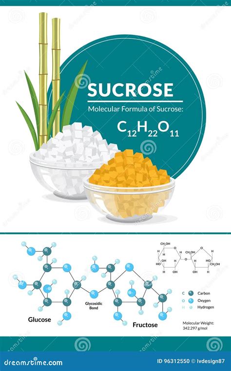 Strukturelle Chemische Formel Und Modell Von Saccharose Wei Er Und
