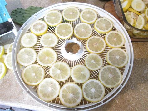 How To Dehydrate Lemons The Homestead Survival Dehydrated Food Dehydrator Recipes