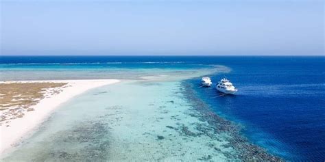 Snorkeling Tour At Hamata Qulaan Islands From Marsa Alam